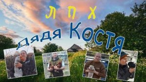 кормушка  для птиц  своими руками