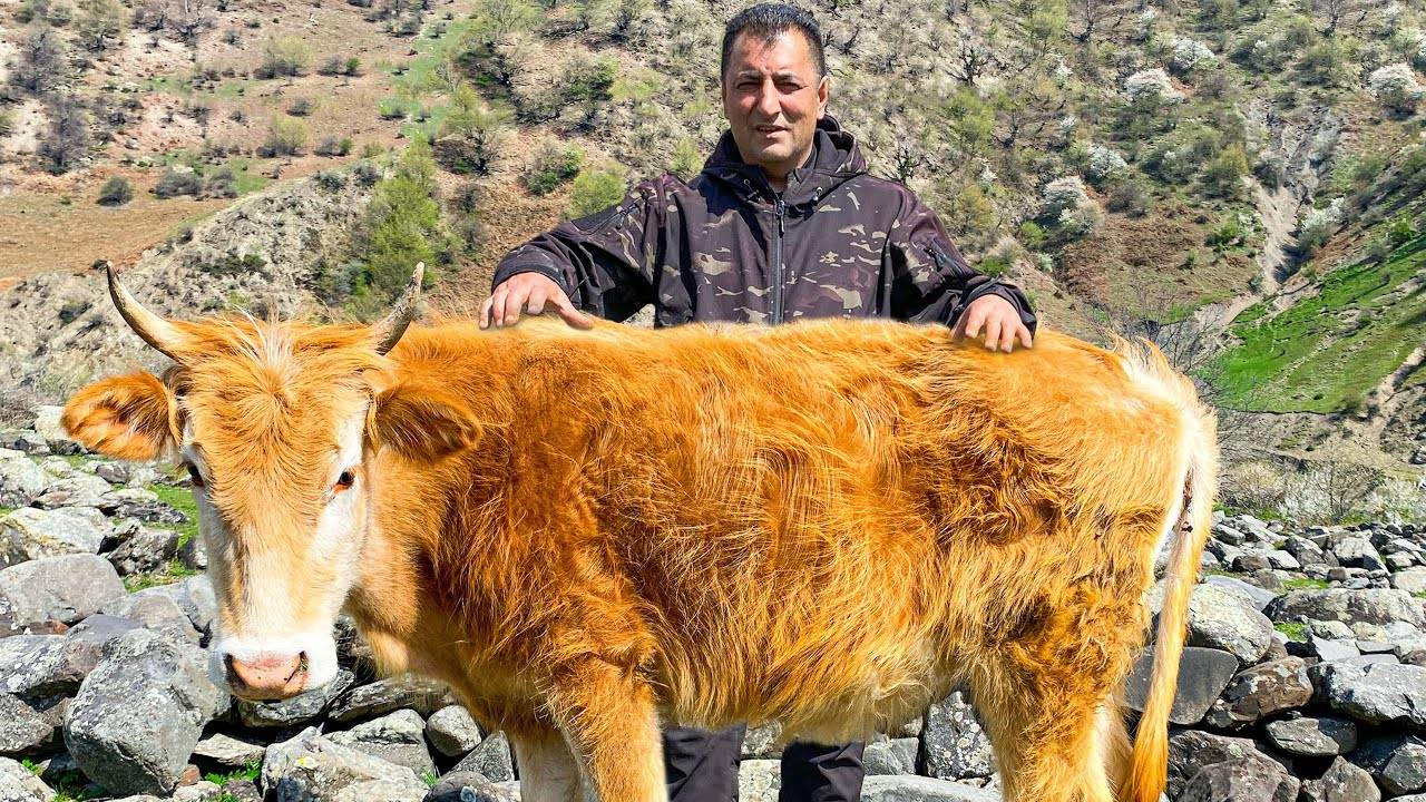 ОЧЕНЬ СОЧНЫЙ И МЯГКИЙ ШАШЛЫК ИЗ ГОВЯДИНЫ!