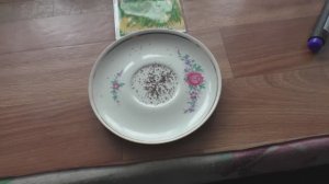 Посев эстрагона на рассаду