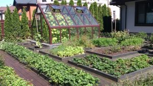 Клад в огороде