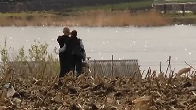 Началась распаевка земель, выделенных участникам АТО смотреть онлайн