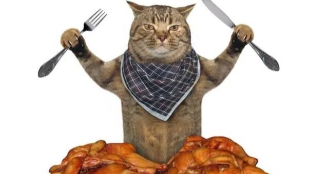 Стихи про животных