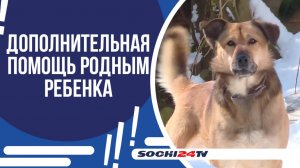 ПОМОЩЬ РОДНЫМ РЕБЕНКА, НА КОТОРОГО НАПАЛИ ХАСКИ!