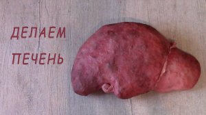 Делаем печень своими руками из массы папье маше.