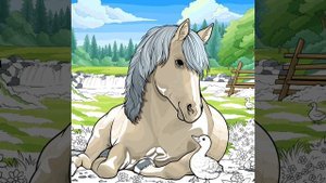 раскраска 4