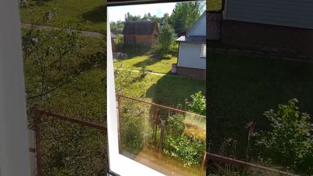 Дача, свежий воздух. НОВЫЕ видео! смотреть онлайн