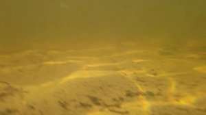 Подводный мир озера Вельё.