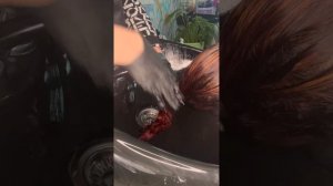 Выдув, осветляющий порошок Constant Delight классический, окрашивание Tefia  Ambient 7/5