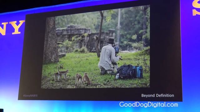 NAB 2015 Sony F65 & Monkey Kingdom смотреть онлайн