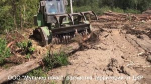 Мульчирование пней