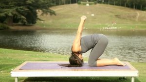 Tara Lee - Elements of Yoga: Earth - Practice 3