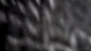 Катализатор изнутри