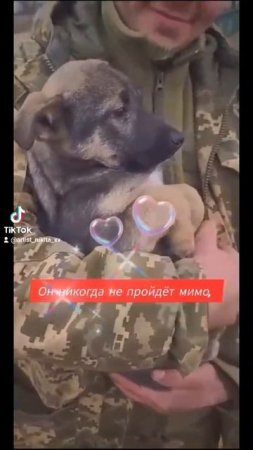 #Родина #Россия #МыВместе #певецникитагерасев #врагу_не_отдам #трекживи #живи #авторскаяпесня