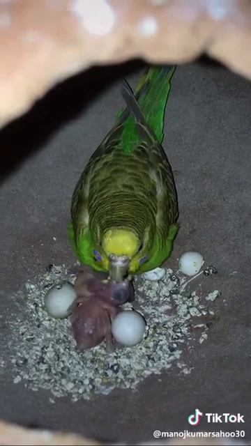 Love bord смотреть онлайн