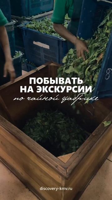 Как провести время на Шри-Ланке смотреть онлайн