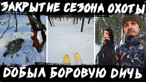 Успешная охота на боровую дичь: Тетерев и рябчик в одном сезоне!