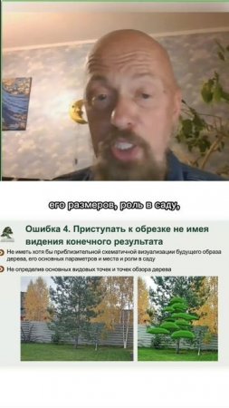 Ошибки при обрезке сосен и формировании из них ниваки. Часть 4