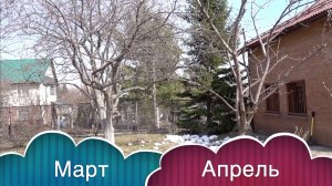 РАБОТЫ ДАЧНИКА / МАРТ-АПРЕЛЬ.
ОСНОВА будущего УРОЖАЯ - НАСТОИ и АКЧ для РАССАДЫ!