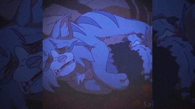 Кленовница и метеор#коты воители# смотреть онлайн