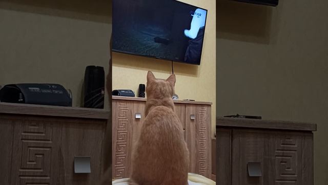 Мэри любит передачи про рыбалку 😊