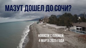 Мазут дошел до Сочи, 4 марта 2025 года, новости с пляжей