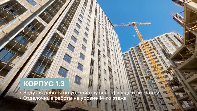 Февраль 2025