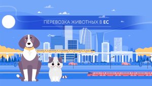 Перевозка животных в Европу