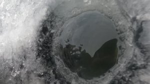 Рыба не лезет в лунку, а багра нет...