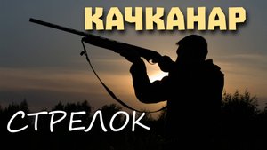 НЕУЖЕЛИ  НАШИ ГОРОДСКИЕ ЛЕСА СТАНОВЯТСЯ ТИРАМИ