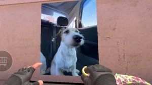 стенд чилов