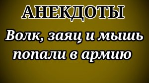 АНЕКДОТЫ! Волк, заяц и мышь попали в армию, чтобы спастись…