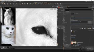 06 Guides Lashes And Ear Hair Part 1