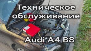 Техническое обслуживание Audi А4 B8 (замена масла, фильтров и свечей)