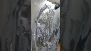 Тест споттера WSS7