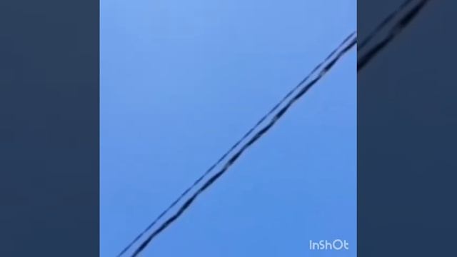 Голуби из шохмансура смотреть онлайн