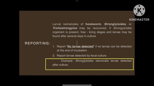 HARADA MORI FILTER PAPER STRIP CULTURE