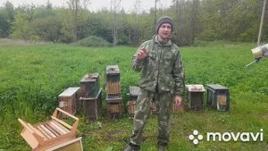 УСТАНАВЛИВАЕМ ЛОВУШКИ ДЛЯ ПЧЁЛ. Комплектация и выбор места. 1.05.2023