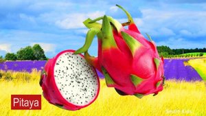 Learn names Berries & names of fruits and vegetables Part 3 | Learning Berries Fruits and Vegetable