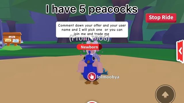 I will accept any offer for my ride peacock 🦚 (adoptme) смотреть онлайн