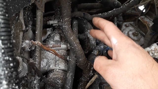 Если завелась и глохнет.