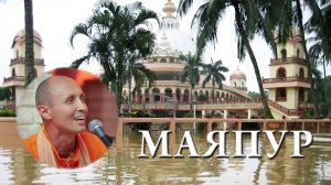 Маяпур 04.03.2025. Лекция | Парикрамы | БАКГ