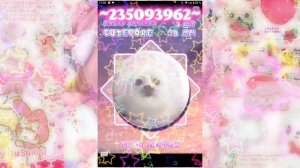 🌺🍡Вещи с ВБ🍮🌺
