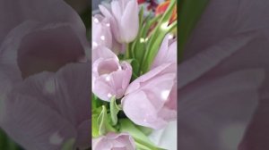 Песня к 8 марта доя любимых женщин.....