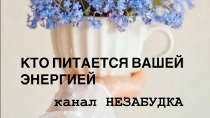 КТО ПИТАЕТСЯ ВАШЕЙ ЭНЕРГИЕЙ 😱