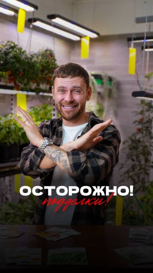 🚨 Осторожно, подделки! 🚨