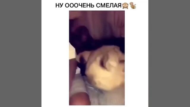 Ну оооооочень смелая обезьяна #shorts