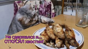 18.02.2024 Со вкусом АНТИПРИГАРА!🥴ХУДЕТЬ не ПОЛУЧАЕТСЯ!😔Пробуем АРАХИСОВУЮ пасту!😋Фуксия.☘️