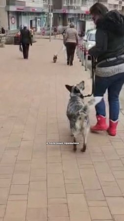 Ссылку на регистрацию оставила в описание или в шапке канала 🔗