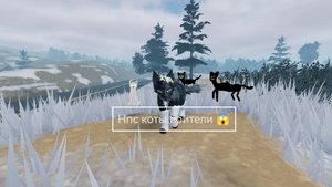 Нпс во вкуе:смаил кэт/блинк/гравитация /что это за нпс???