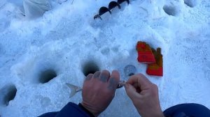 Рыбалка на Емуртле.